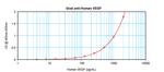 VEGF-165 Antibody in ELISA (ELISA)