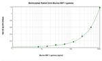 MIP-1 gamma Antibody in ELISA (ELISA)