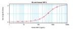 CCL23 Antibody in ELISA (ELISA)