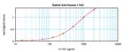 CXCL11 Antibody in ELISA (ELISA)