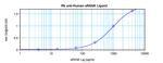 RANKL (soluble) Antibody in ELISA (ELISA)