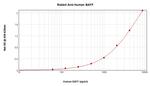BAFF Antibody in ELISA (ELISA)