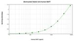 BAFF Antibody in ELISA (ELISA)