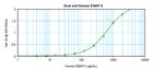 EMAP II Antibody in ELISA (ELISA)