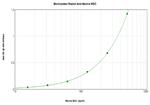 MDC Antibody in ELISA (ELISA)