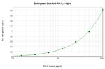 IL-1 alpha Antibody in ELISA (ELISA)