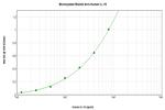 IL-19 Antibody in ELISA (ELISA)