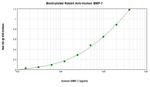 BMP-7 Antibody in ELISA (ELISA)
