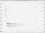CCL4 Antibody in Western Blot (WB)