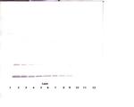 IL-2 Antibody in Western Blot (WB)