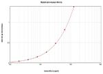 WNT3A Antibody in ELISA (ELISA)