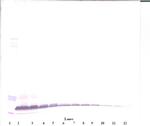 betacellulin Antibody in Western Blot (WB)