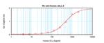 DLL4 (soluble) Antibody in ELISA (ELISA)