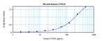 CCL27 Antibody in ELISA (ELISA)