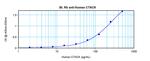 CCL27 Antibody in ELISA (ELISA)