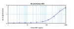 CCL28 Antibody in ELISA (ELISA)