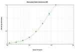 Epo Antibody in ELISA (ELISA)