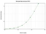 FGF23 Antibody in ELISA (ELISA)