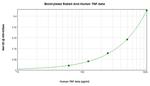 TNF beta Antibody in ELISA (ELISA)