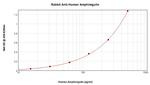 Amphiregulin Antibody in ELISA (ELISA)