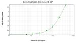 HBEGF Antibody in ELISA (ELISA)
