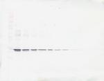 ApoA1 Antibody in Western Blot (WB)