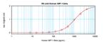 CCL4 Antibody in ELISA (ELISA)