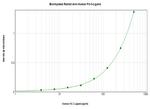 FLT3LG Antibody in ELISA (ELISA)