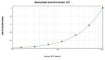 SCF Antibody in ELISA (ELISA)