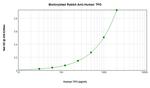 Thrombopoietin Antibody in ELISA (ELISA)