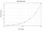 Leptin Antibody in ELISA (ELISA)