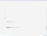 Leptin Antibody in Western Blot (WB)