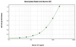 SCF Antibody in ELISA (ELISA)