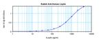 Leptin Antibody in ELISA (ELISA)