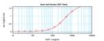 CXCL12 beta (SDF-1 beta) Antibody in ELISA (ELISA)