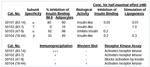 Insulin receptor Antibody in Western Blot (WB)