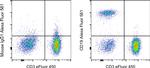 CD19 Antibody in Flow Cytometry (Flow)