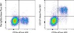 CD127 Antibody in Flow Cytometry (Flow)