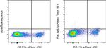 Rat IgG2b kappa Isotype Control in Flow Cytometry (Flow)