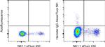 Syrian Hamster IgG Isotype Control in Flow Cytometry (Flow)