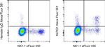 KLRG1 Antibody in Flow Cytometry (Flow)