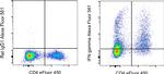 IFN gamma Antibody in Flow Cytometry (Flow)