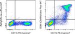 CD88 (C5aR1) Antibody in Flow Cytometry (Flow)