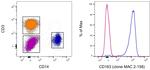 CD163 Antibody