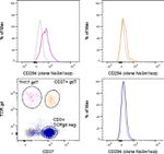 CD294 (CRTH2) Antibody