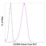 CD365 (Tim-1) Antibody in Flow Cytometry (Flow)