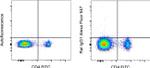 Rat IgG1 kappa Isotype Control in Flow Cytometry (Flow)