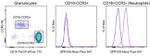 GPR109 Antibody in Flow Cytometry (Flow)