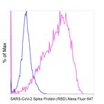 SARS-CoV-2 Spike Protein (RBD) Chimeric Antibody in Flow Cytometry (Flow)