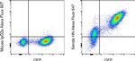 Sendai virus HN Antibody in Flow Cytometry (Flow)